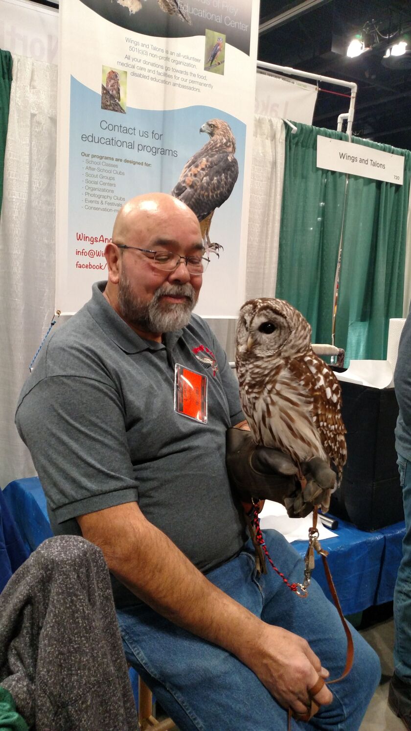 Larry DeVera holds a barred owl at the “Birds of Prey” booth at Chicagoland Fishing, Travel & Outdoor Expo at the Schaumburg Convention Center.<br>Credit: Dale Bowman